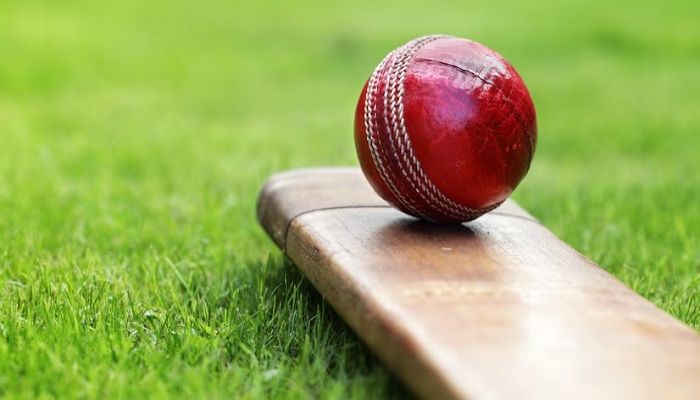 Saudi Arabia plans global T20 cricket league with $500 million investment