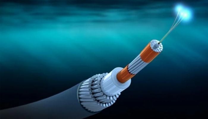 Submarine Cable Company's internet prices to fall by 10%