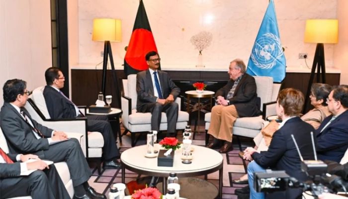 Foreign adviser calls on UN Secretary General