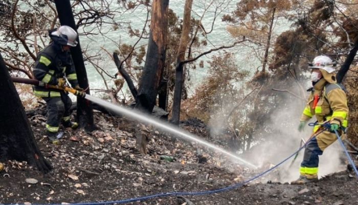 Japan's worst wildfire in 50 years brought under control