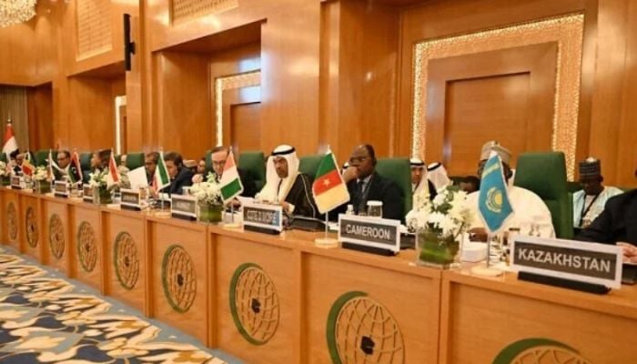 Muslim nations endorse alternative to Trump's Gaza takeover plan