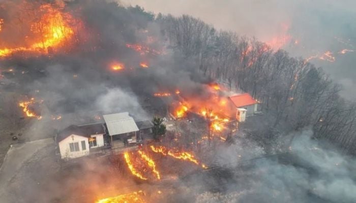 South Korea says 18 dead in raging wildfires
