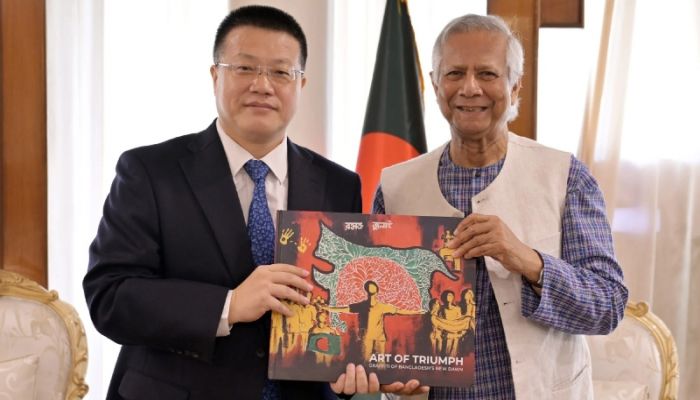 Chinese solar panel giant Longi to invest in Bangladesh: Envoy