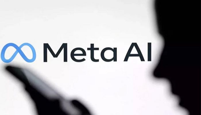 French book rights owners take on Meta over AI