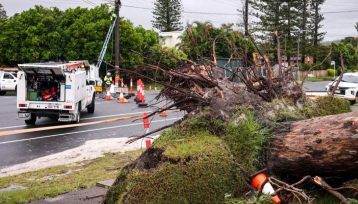 Floods, mass power cuts as wild weather bashes eastern Australia
