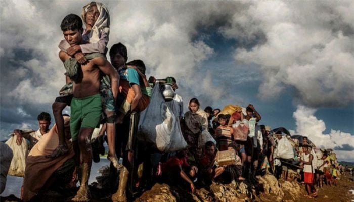 UNHCR calls for sustained support, solutions for Rohingyas 