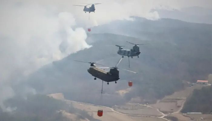Huge South Korea wildfires kill dozens