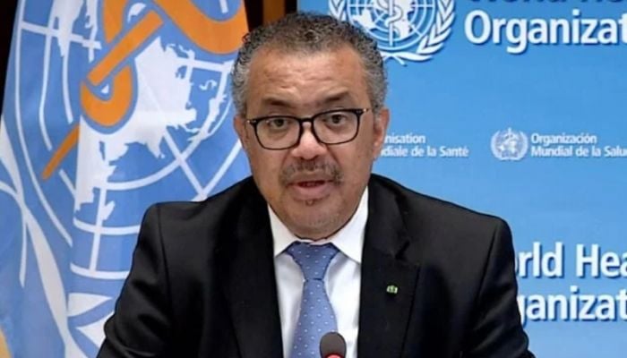New pandemic inevitable: WHO chief