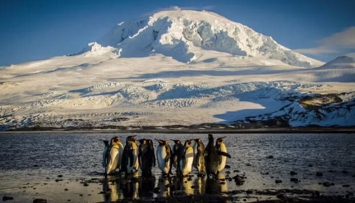 ‘Nowhere on earth is safe’: Trump imposes tariffs on uninhabited islands near Antarctica