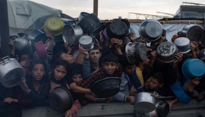 Over 65,000 children hospitalized in Gaza due to acute malnutrition