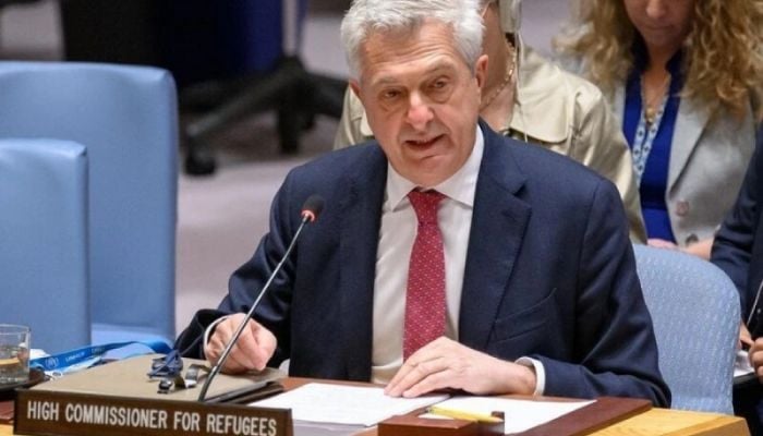 UNHCR praises Bangladesh govt initiative to pursue end to Rohingya plight