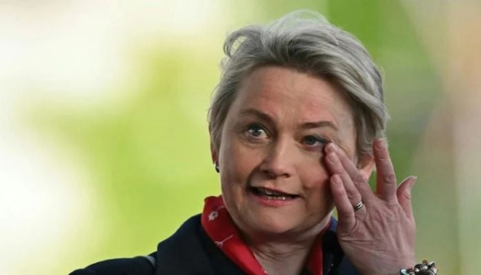 Foreign criminal and visa crackdowns part of UK plans to cut immigration