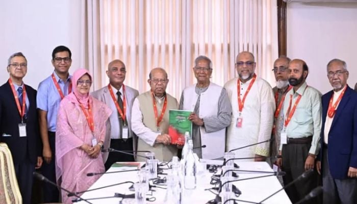 Health reform commission submits report to CA