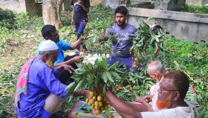 Litchi starts appearing in Rajshahi markets