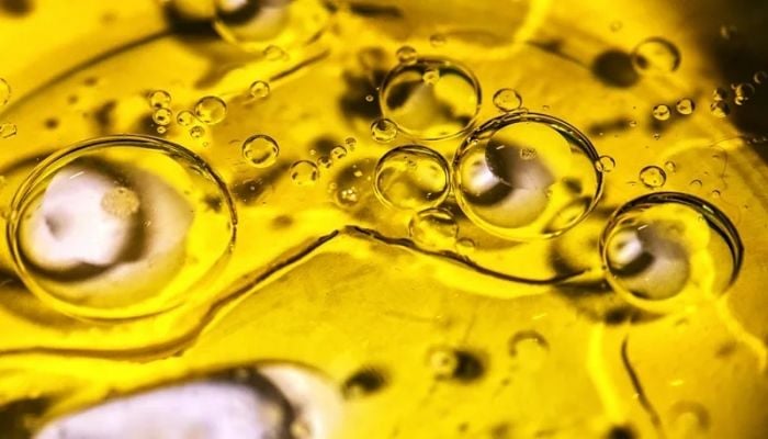 Are seed oils really bad for you?