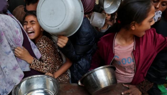 Palestinian health minister reports 29 'starvation-related' deaths in Gaza