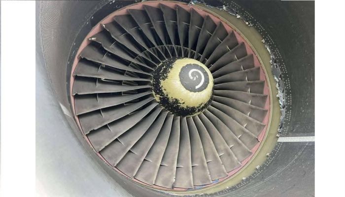Turkish airlines flight makes emergency landing in Dhaka after bird strike