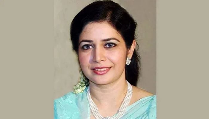 Zubaida files petition challenging sentence in graft case