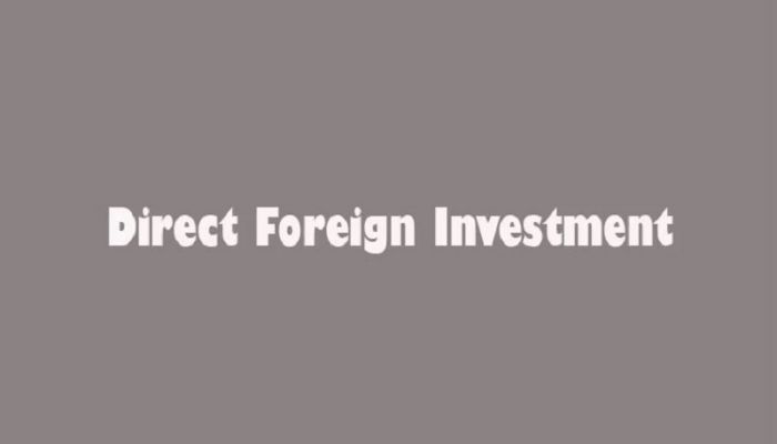 Govt wants to boost FDI by giving incentives