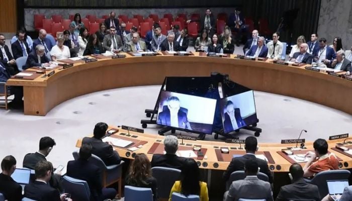 What UN diplomats said about the US strikes