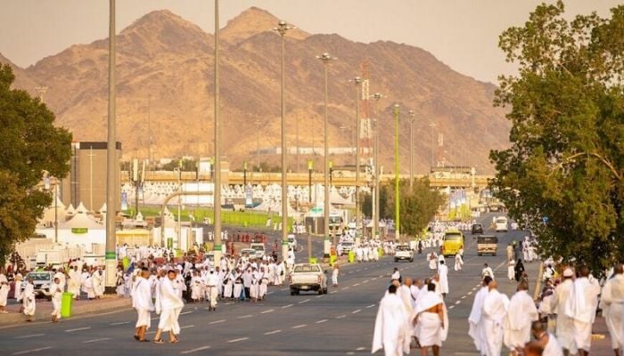 Muslim pilgrims pray at Mount Arafat in hajj apex