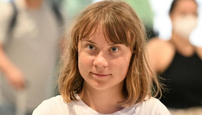 Greta Thunberg back in Sweden after deportation from Israel