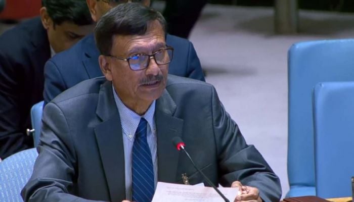 Rohingya crisis posing new security risks, Touhid says in UN 