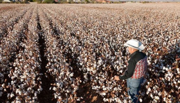 US cotton producers seek direct tie-up with Bangladesh textile sector
