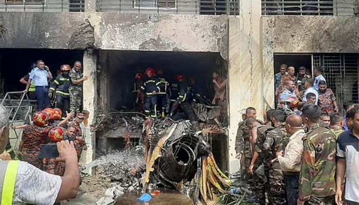 Commission formed to probe Milestone jet crash