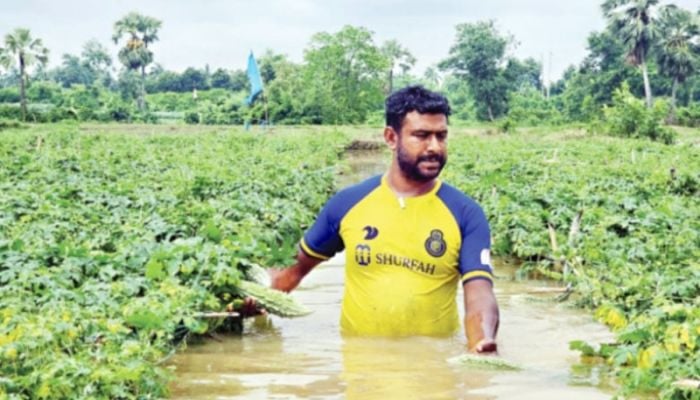 Torrential rains wreak havoc on crops of 72,000 hectares of land