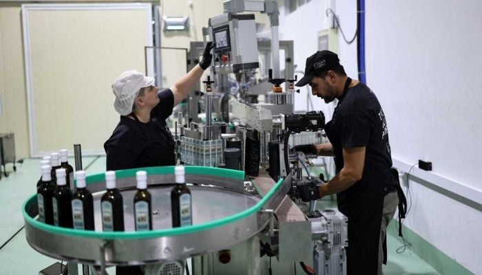 Trump tariffs force Greek olive oil producers to seek new markets