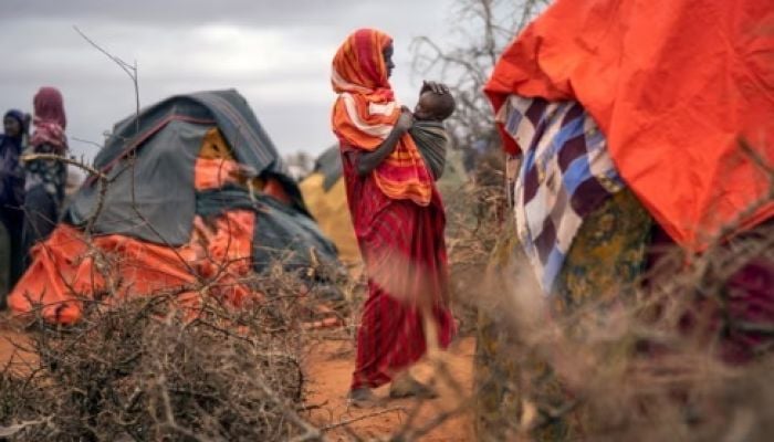 Droughts worldwide pushing tens of millions towards starvation, says report