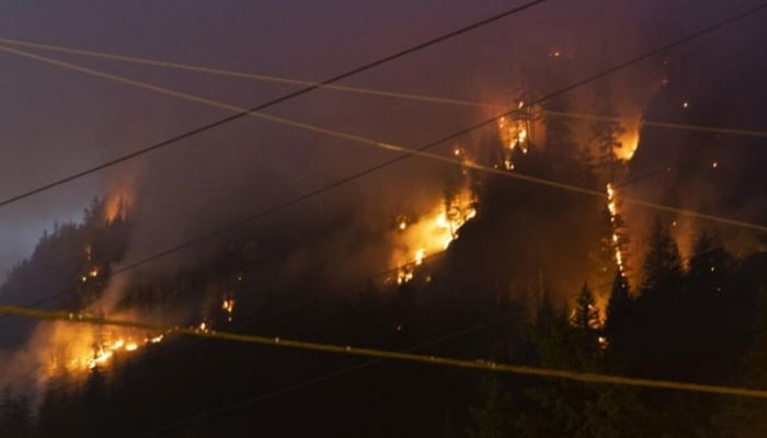 Canada wildfires burn area the size of Croatia