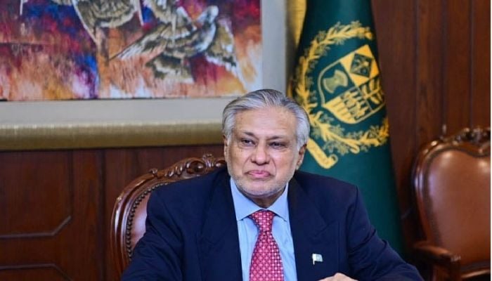 Pakistan FM due in Dhaka on Saturday