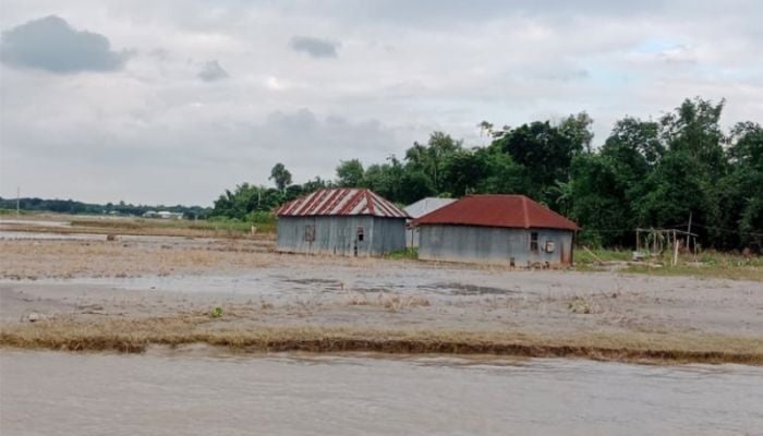 Record rainfall in Rajshahi division damages 7,500 hectares of crops