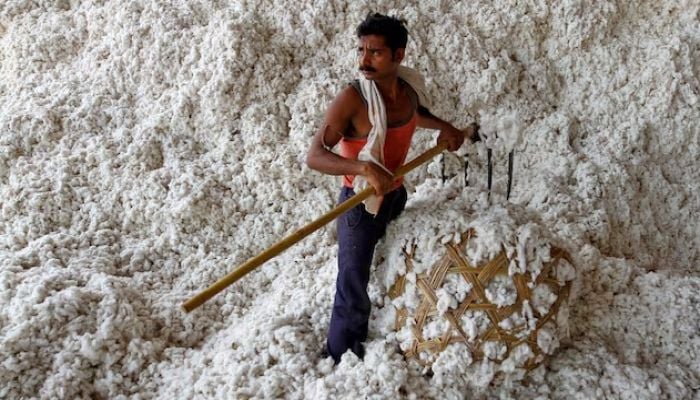 India extends cotton import duty exemption amid US tariff pressure