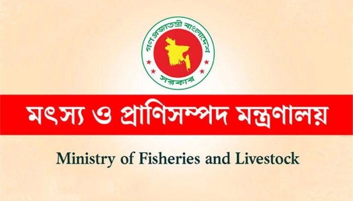 Govt rejects news on beef import