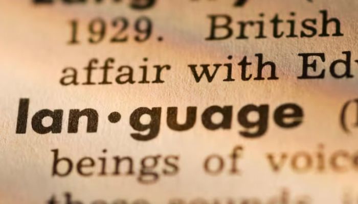 'Skibidi' and 'tradwife': social media words added to Cambridge dictionary