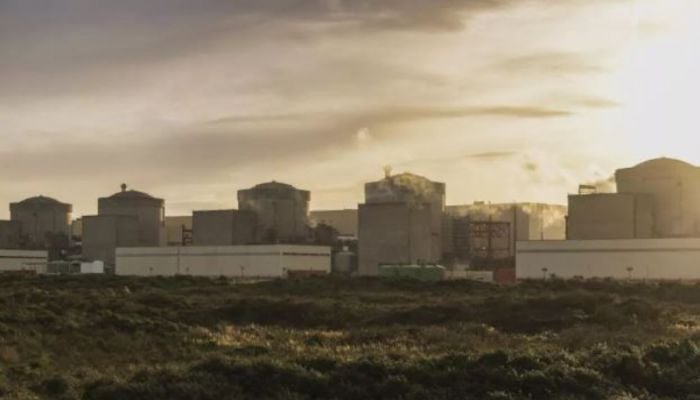 Jellyfish force French nuclear plant shutdown