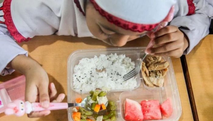 More than 300 ill in Indonesia after eating free school lunches