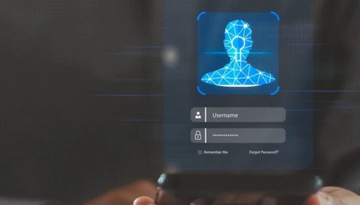 UK to launch digital ID scheme to curb illegal migration