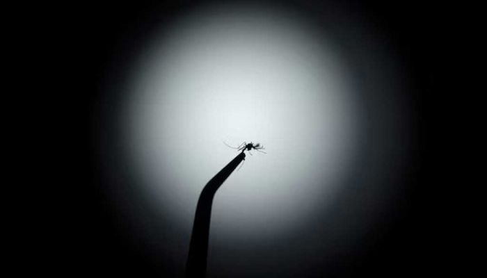 Brazil to protect 140 million from dengue with mosquito super factory