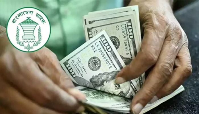 19.3% growth of remittance inflow till Sept 10