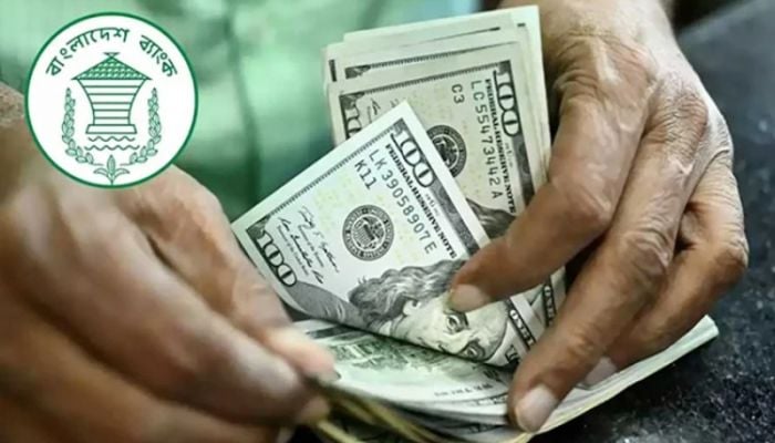 13.5% growth in remittance inflow till Sept 13