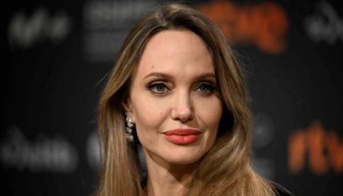 I don't recognise my country: Angelina Jolie