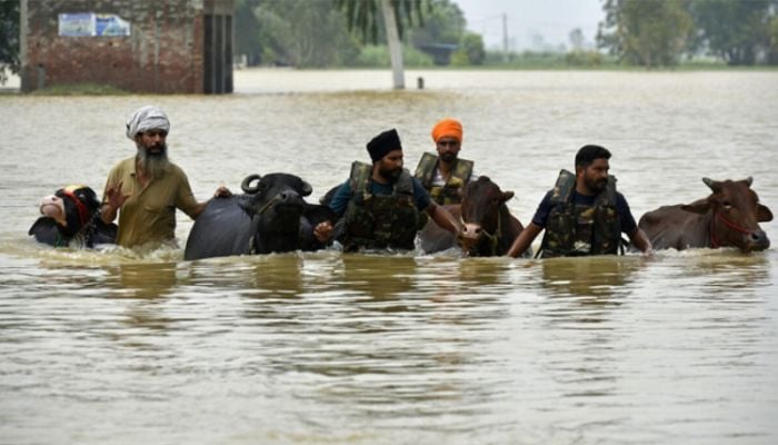 Villages marooned after deadly floods in India's Punjab