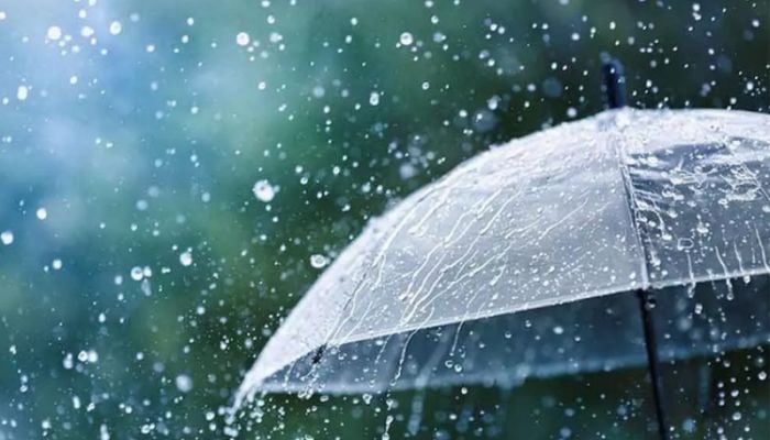 Light to moderate rain, thunder showers likely