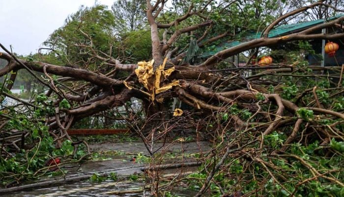 Typhoon Bualoi brings havoc to Vietnam, killing 13 with 46 injured