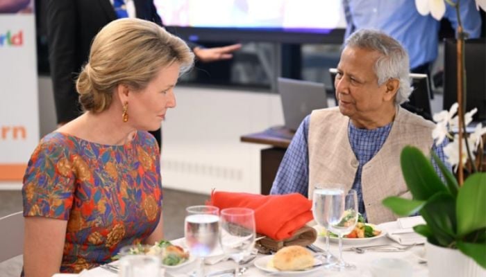 Belgium Queen, ex-British PM meet CA