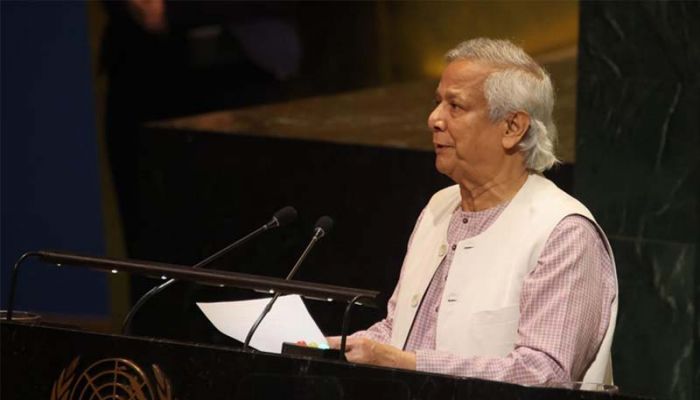 CA proposes seven-point actions to end Rohingya crisis